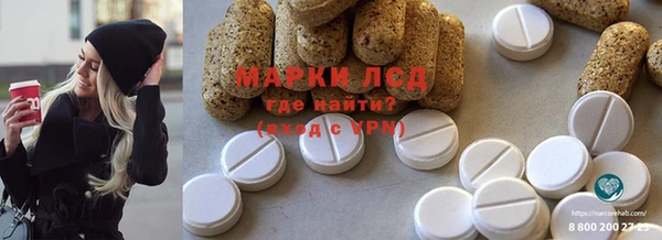 spice Богородицк