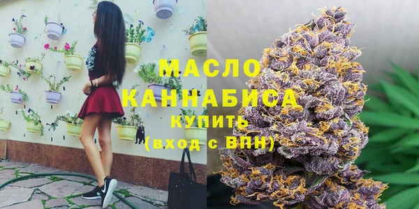 spice Богородицк